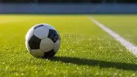 第十五届全运会闭幕式精彩瞬间揭秘