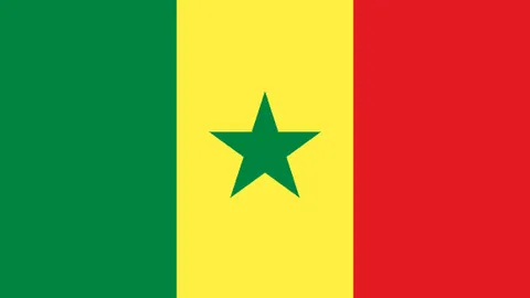 邵一期框架大功告成，青春焕发迈向年轻化新篇章！